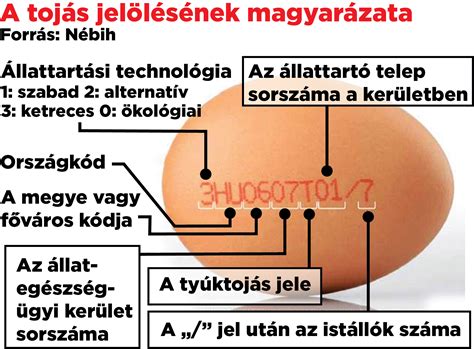 A tojás tápanyag összetétele