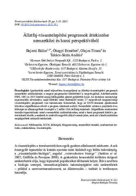 A magyar utánpótlás-nevelési programok áttekintése