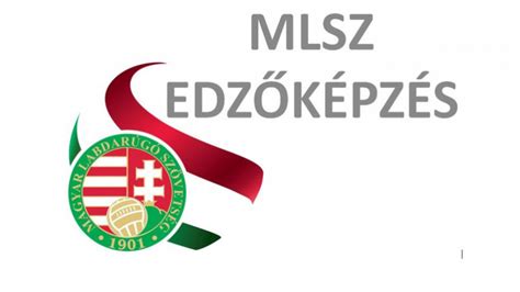 Az MLSZ utánpótlás-nevelési auditjának jelentősége