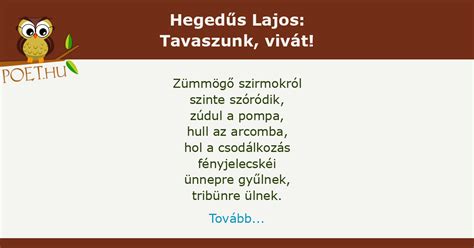 Hegedűs Lajos bravúrja a kapuban