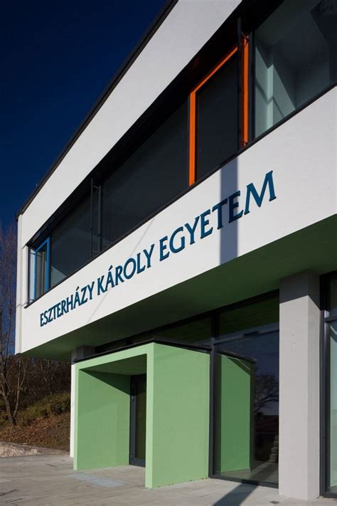 Egyetemi kampusz vagy sportmenedzsment grafika