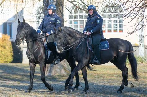 Lovas rendőrök parkban járőröznek