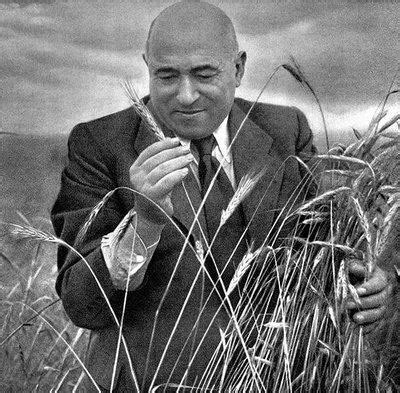 Sebes Gusztáv és Rákosi Mátyás