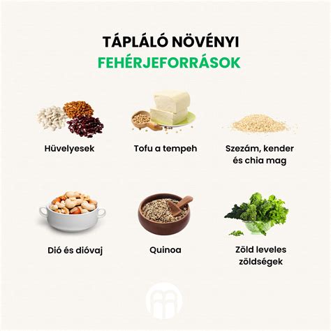 Fehérjeforrások sportoló gyerekeknek