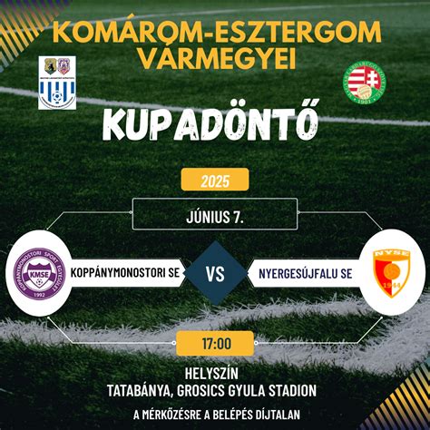 Vármegyei kupa logó