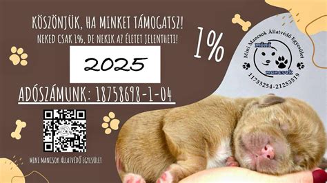 Politikai nyilatkozat az állatkínzás ellen