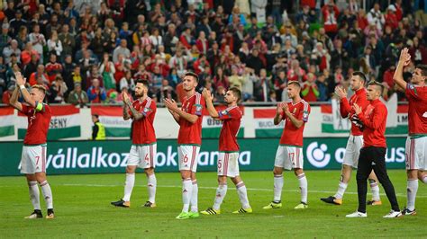Bernd Storck a Svájc elleni mérkőzésen