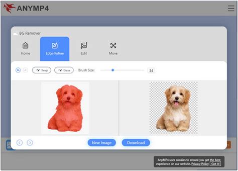 Az AnyMP4 Background Remover Online használata