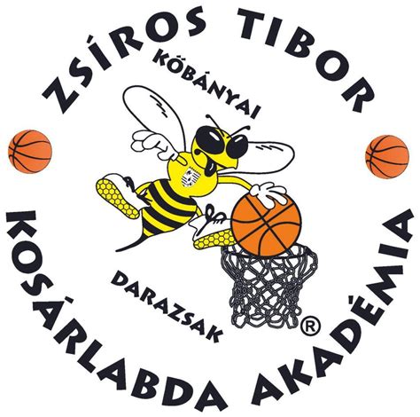 Zsíros Akadémia logo és kosárlabda pálya
