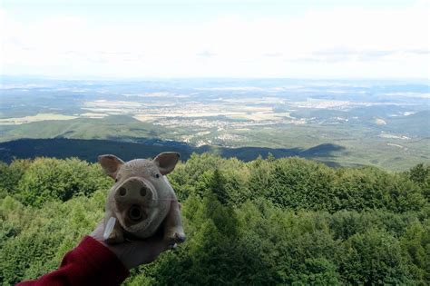 Hegyifutók a Kékes csúcsán