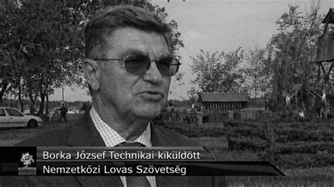 Csikány József, a magyar hátúszás meghatározó alakja