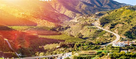 Montes de Málaga park látképe és flórája