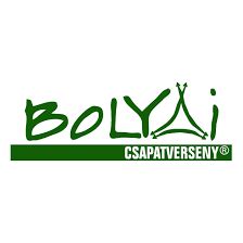 A Bolyai Anyanyelvi Csapatverseny logója és a csapatmunka illusztrációja