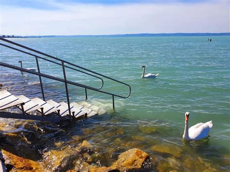 Légifelvétel a Funside Balaton tábor helyszínéről a Balaton partján