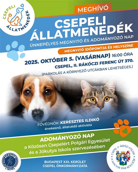 A felszabadulás után újjáépülő csepeli sporttelep