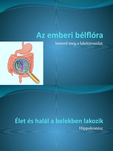 Az emberi bélflóra szerepe a szójaanyagcserében