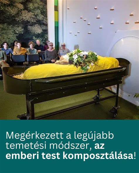 Hagyományos szója fermentációs eljárás