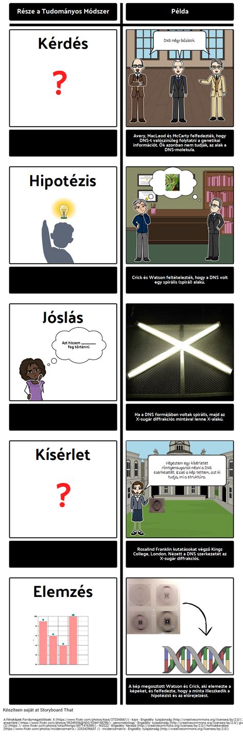 A tudományos módszer fázisai és logikája
