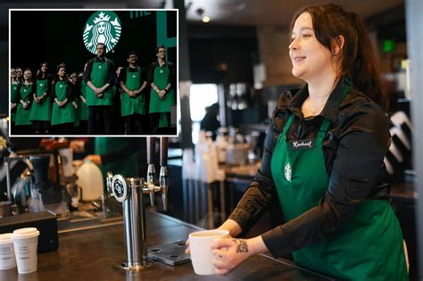 Barista verseny előkészületek