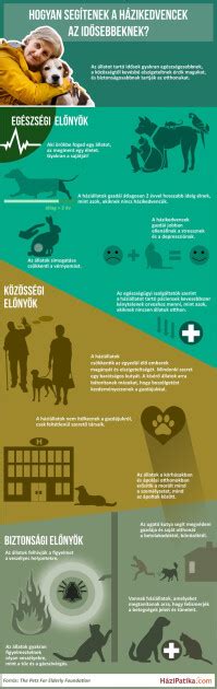 Infografika: A szurkolói kártya előnyei és igénylésének menete