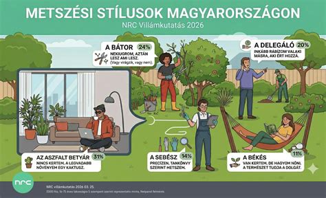 Pályarendszabályokat és tiltott tárgyakat ábrázoló infografika
