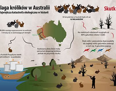 Kábeljelölések magyarázata infografika
