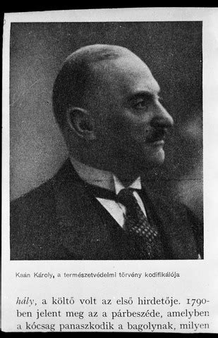 Kaán Károly portréja vagy természeti téma