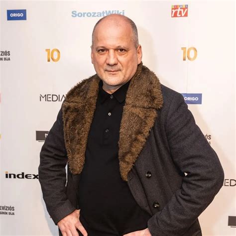 Molnár Andrea televíziós karrierjének mérföldkvei