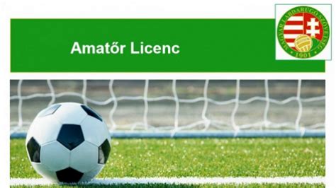 Amatőr labdarúgó licenc igénylésének folyamata