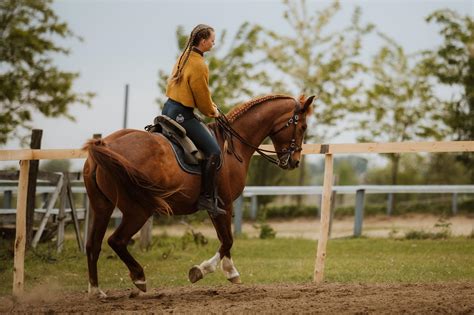 Rúdsportoló egy bemutató közben