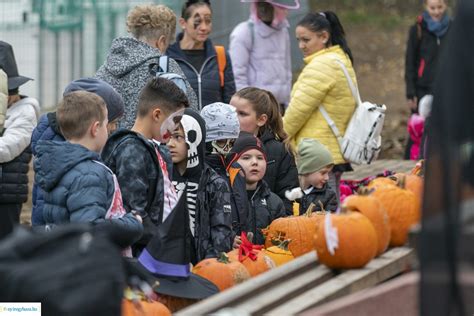 Gyerekek csokit osztanak el egymás között