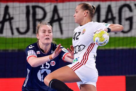 Dánia-Magyarország mérkőzés Svendborgban