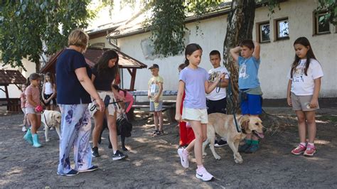 Gyerekek íjászkodnak és lovagolnak egy nyári táborban