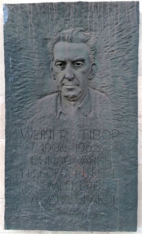 Zsíros Tibor portréja