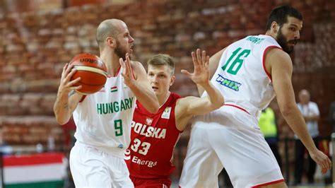 Diagram: A magyar kosárlabda edzők hatása a sportágra