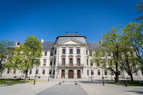 Egyetemi sporttudományi képzés