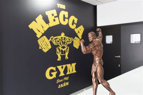 Modern edzőgépek a Mecca Fitness Arakban