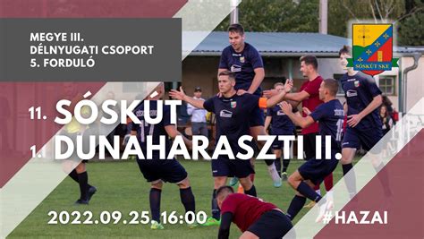 Dunaharaszti II csapatlogó