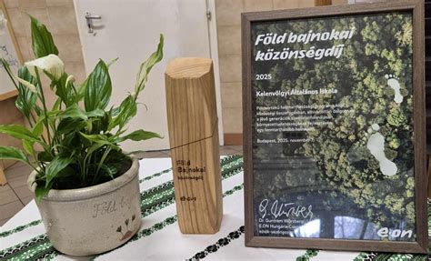 Díjkiosztó ünnepség kispályás focibajnokságon