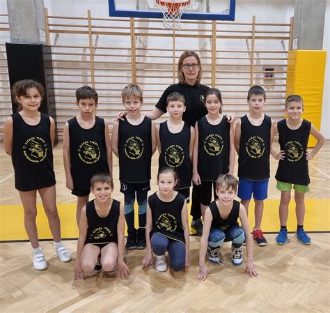 Kőbányai Darazsak csapatlogó