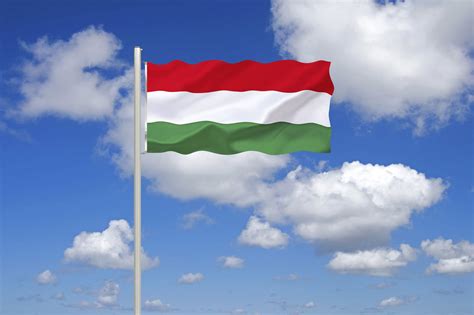 Magyar zászló a korcsolya arénában