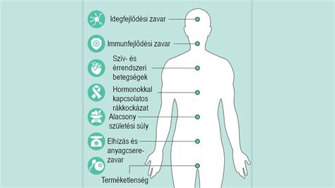 A stressz hatása az emberi szervezetre