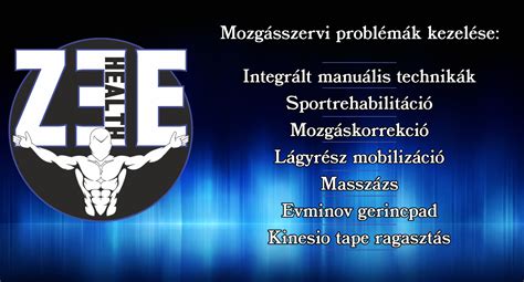 Az Aba-Sárvíz csapatképe a 2005/06-os szezonból