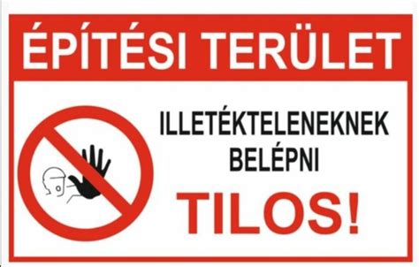 az elhagyatott stadion környezete és a növényzettel benőtt építési terület