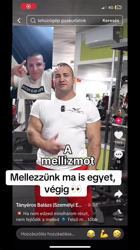Testépítés és izomépítés folyamata