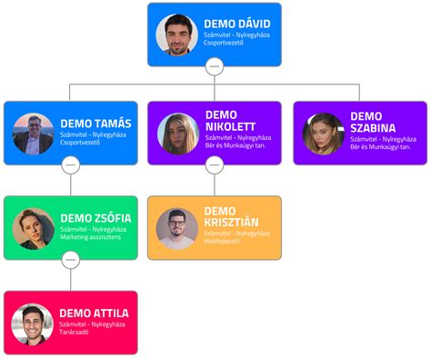 Szervezeti hierarchia és vezetési stratégiák