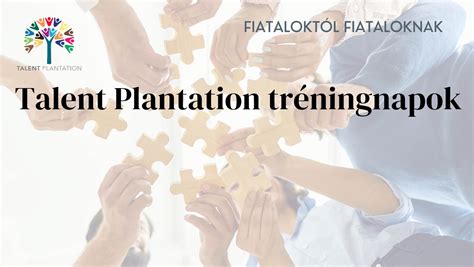 A Talent Plantation kiválasztási folyamatának lépései