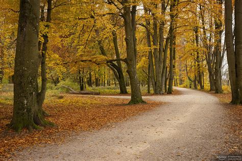 A Breiter Weg átalakulása Magdeburgban