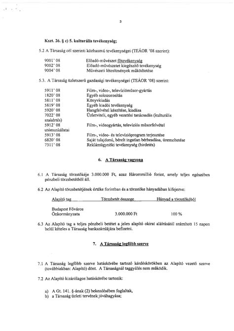 Nyírsuli Kft. alapító okirat
