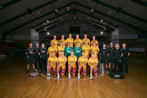 Viborg HK csapatlogó és játékosok